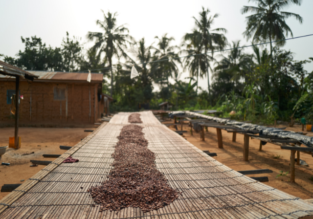 Cocoa Sustainability Guide Understanding Sustainable Chocolate Cocoa Sustainability Guide Understanding Sustainable Chocolate